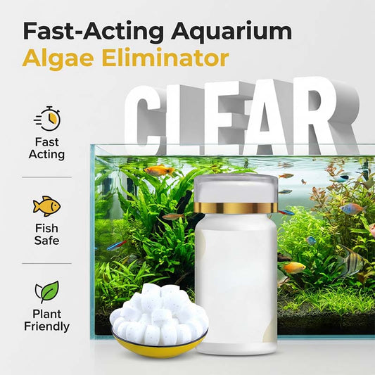 🐠🌿Απομακρυντής Πράσινου Νερού & Βρύων Ενυδρείου