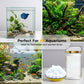 🐠🌿Απομακρυντής Πράσινου Νερού & Βρύων Ενυδρείου